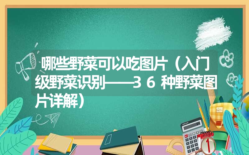 哪些野菜可以吃图片（入门级野菜识别——36种野菜图片详解）