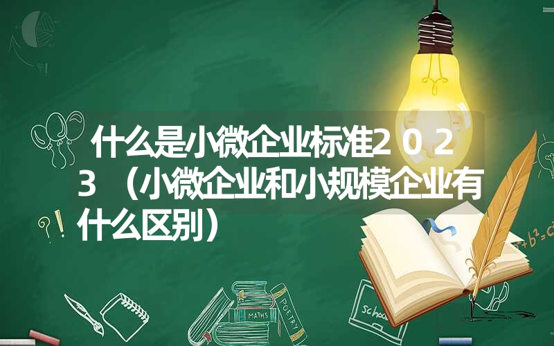 <font color='1677721'>什么是小微企业标准2023（小微企业和小规模企业有什么区别）</font>