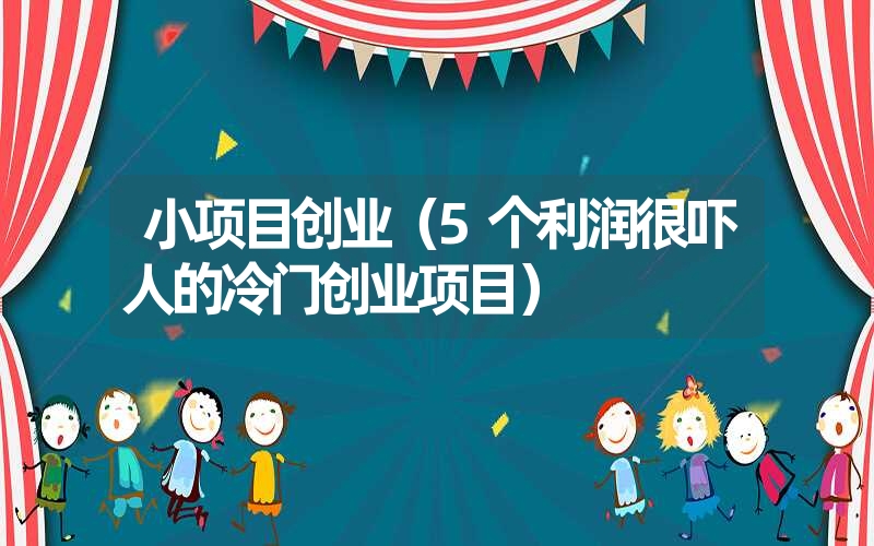 小项目创业（5个利润很吓人的冷门创业项目）