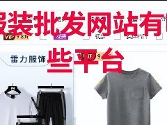 买衣服网站（中国五大服装货源批发网站推荐）